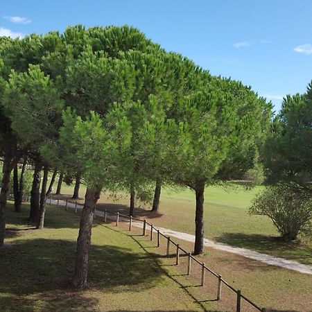 Vert Paradis - Vue Apaisante Sur Golf, Pins Parasols, 2E Etage - 80 M2 Dont Terrasse Avec Pergola, 2 Chambres, 3Et Iles, 3 Clim, Wifi - Piscine, Parking Et Park A Velos, Ascenseur - En Option Linge, Menage - Pistes Cyclables, Mer A Proximite Сен-Киприен Екстериор снимка