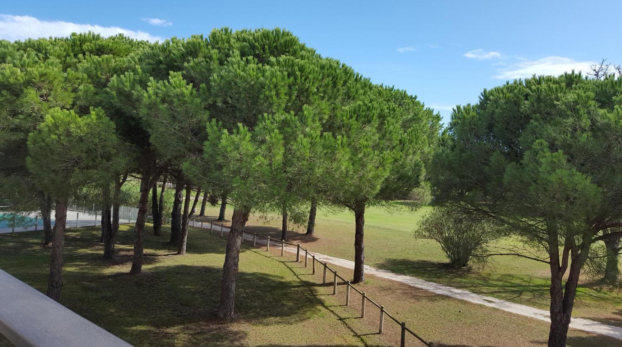 Vert Paradis - Vue Apaisante Sur Golf, Pins Parasols, 2E Etage - 80 M2 Dont Terrasse Avec Pergola, 2 Chambres, 3Et Iles, 3 Clim, Wifi - Piscine, Parking Et Park A Velos, Ascenseur - En Option Linge, Menage - Pistes Cyclables, Mer A Proximite Сен-Киприен Екстериор снимка